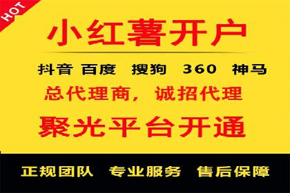 某公司SEO与SEM整合营销的全程记录